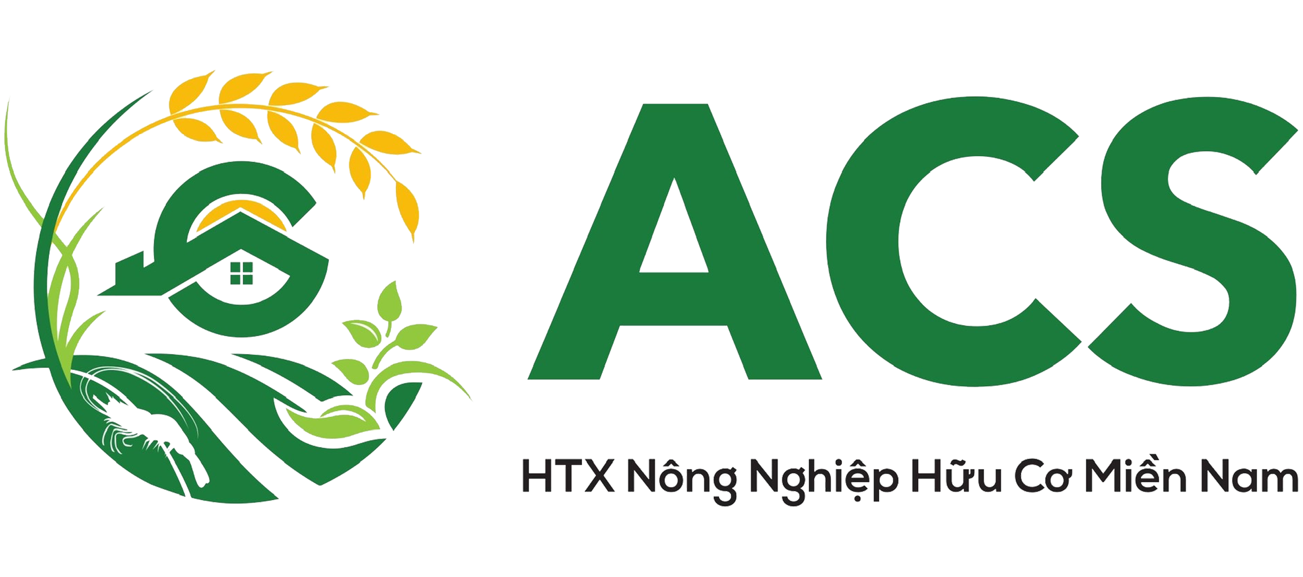 ACS Logo